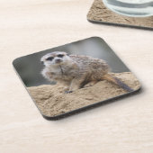 Meerkat 021 getränkeuntersetzer (Linke Seite)