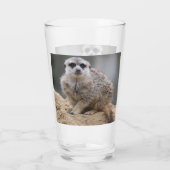 Meerkat 021 glas (Rückseite)