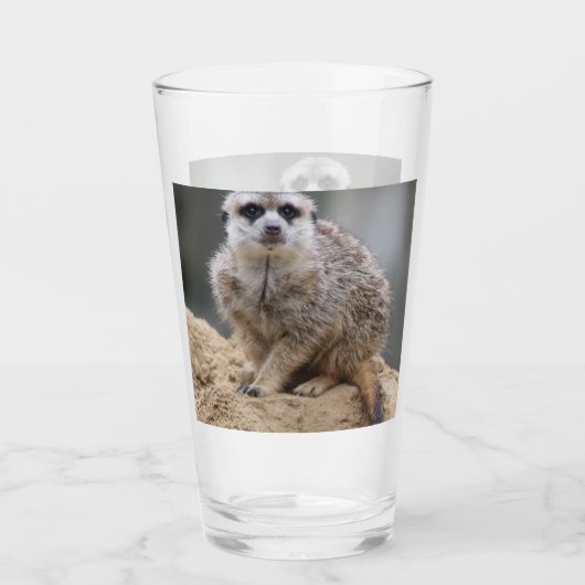 Meerkat 021 glas (Vorderseite)