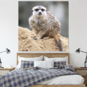 Meerkat 021 leinwanddruck (Insitu (Schlafzimmer))