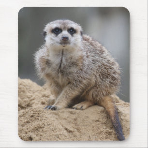 Meerkat 021 mousepad
