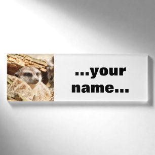 Meerkat_021 Namenschild