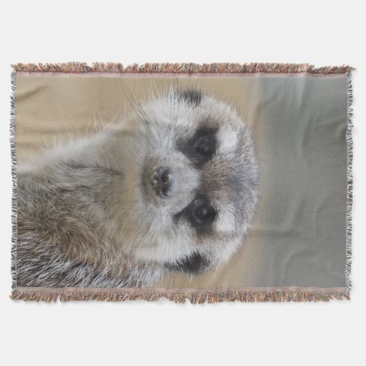 Meerkat 022 decke (Vorderseite)