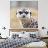Meerkat 022 leinwanddruck (Insitu (Schlafzimmer))