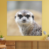 Meerkat 022 leinwanddruck (Insitu (Wohnzimmer))