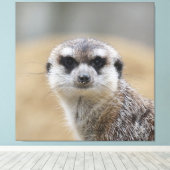 Meerkat 022 leinwanddruck (Insitu (Holzboden))