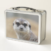 Meerkat 022 metall brotdose (Rückseite)