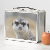 Meerkat 022 metall brotdose (Beispiel)