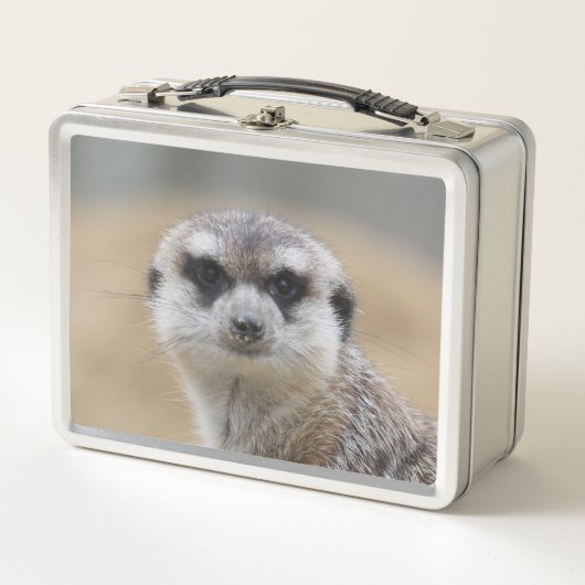 Meerkat 022 metall brotdose (Vorderseite)