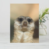 Meerkat 023 feiertagskarte (Stehend Vorderseite)