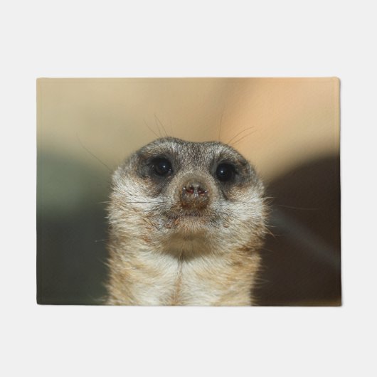 Meerkat 023 fußmatte (Vorderseite)
