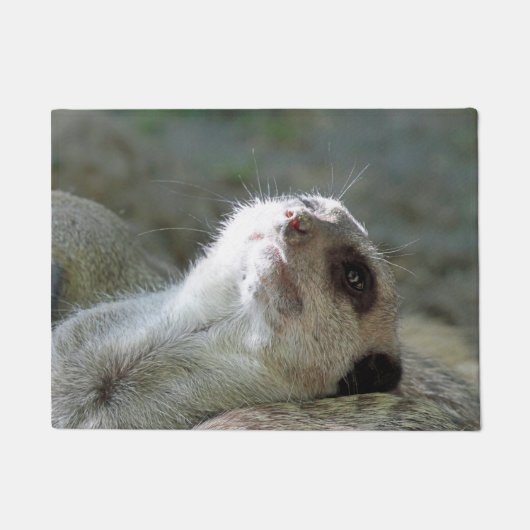 Meerkat 024 fußmatte (Vorderseite)