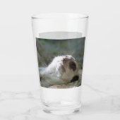 Meerkat 024 glas (Rückseite)