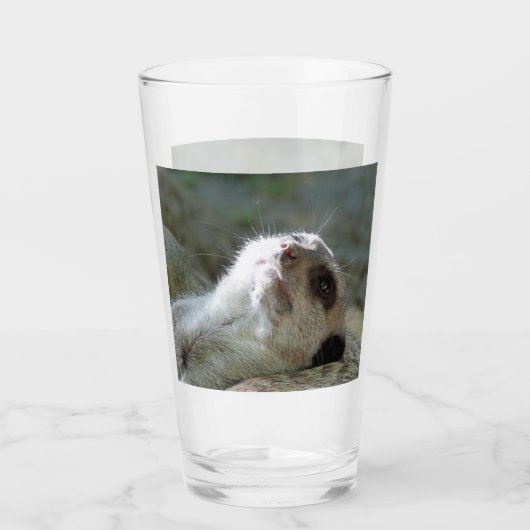 Meerkat 024 glas (Vorderseite)