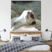 Meerkat 024 leinwanddruck (Insitu (Schlafzimmer))