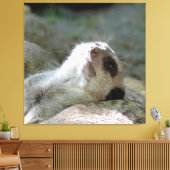 Meerkat 024 leinwanddruck (Insitu (Wohnzimmer))