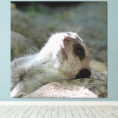 Meerkat 024 leinwanddruck (Insitu (Holzboden))