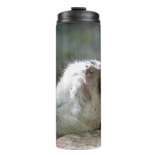Meerkat 024 thermosbecher
