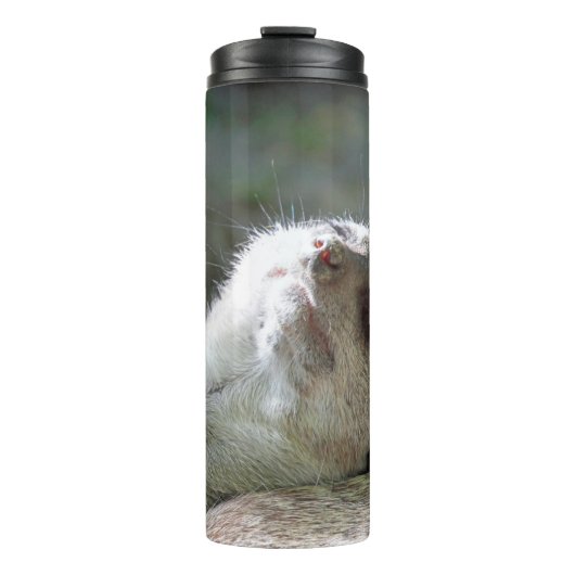 Meerkat 024 thermosbecher (Vorderseite)