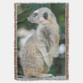 Meerkat 025 decke (Vorderseite Vertikal)