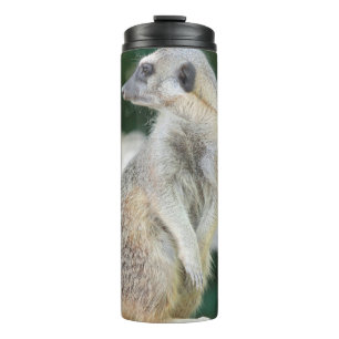 Meerkat 025 thermosbecher