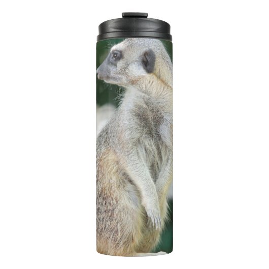Meerkat 025 thermosbecher (Vorderseite)