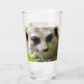 Meerkat 026 glas (Rückseite)