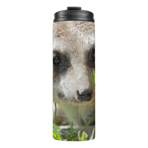 Meerkat 026 thermosbecher
