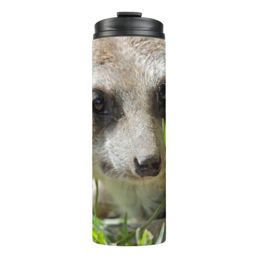 Meerkat 026 thermosbecher (Vorderseite)