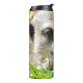 Meerkat 026 thermosbecher (Nach links gedreht)