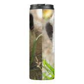 Meerkat 026 thermosbecher (Rückseite)