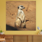 Meerkat 027 leinwanddruck (Insitu (Wohnzimmer))