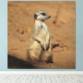 Meerkat 027 leinwanddruck (Insitu (Holzboden))