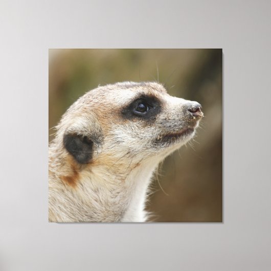 Meerkat 028 leinwanddruck (Vorderseite)