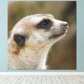 Meerkat 028 leinwanddruck (Insitu (Holzboden))