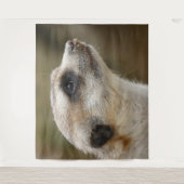 Meerkat 028 wandteppich (Vorderseite)