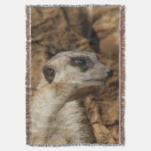 Meerkat 029 decke (Vorderseite Vertikal)