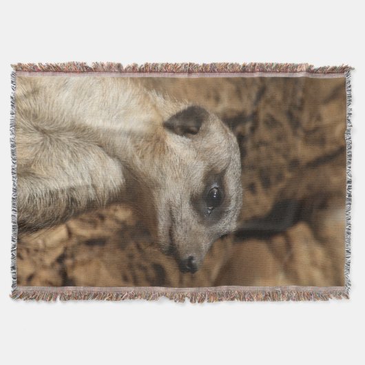 Meerkat 029 decke (Vorderseite)