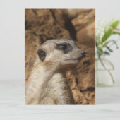 Meerkat 029 feiertagskarte (Stehend Vorderseite)