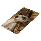 Meerkat 029 magnet (Linke Seite)