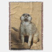 Meerkat 031 decke (Vorderseite Vertikal)