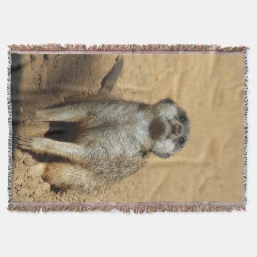 Meerkat 031 decke (Vorderseite)