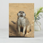 Meerkat 031 feiertagskarte (Stehend Vorderseite)