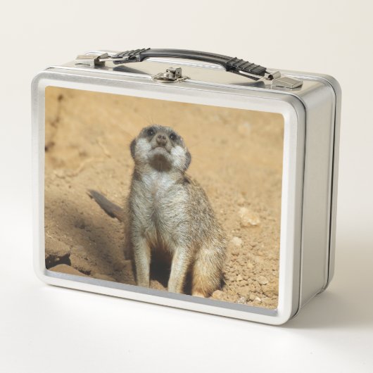 Meerkat 031 metall brotdose (Vorderseite)