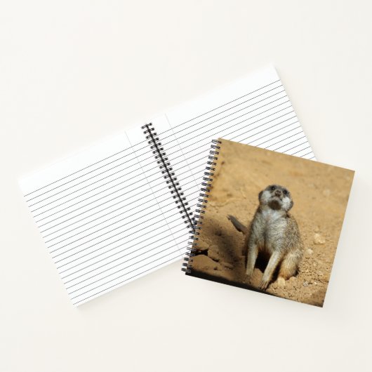 Meerkat 031 notizblock (Innenseite)