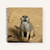 Meerkat 031 notizblock (Vorderseite)
