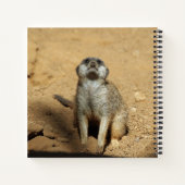 Meerkat 031 notizblock (Rückseite)
