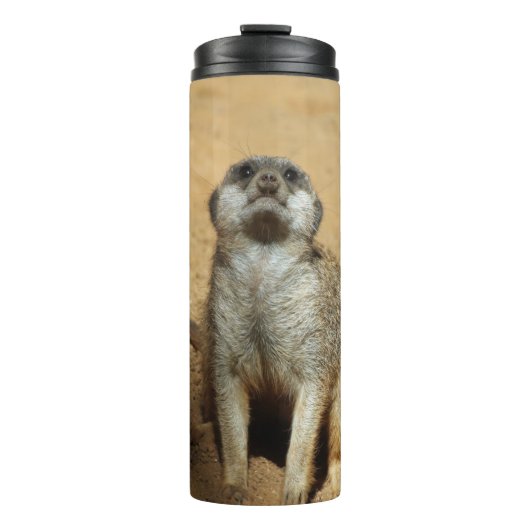 Meerkat 031 thermosbecher (Vorderseite)