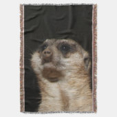 Meerkat 032 decke (Vorderseite Vertikal)