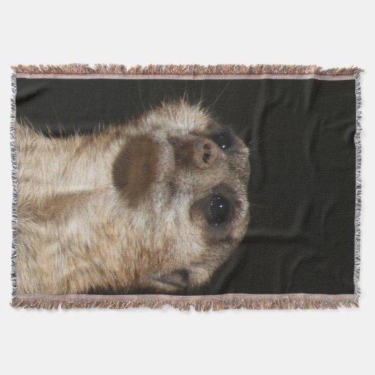 Meerkat 032 decke (Vorderseite)